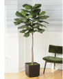 7' Faux Big Leaf Fiddle Fig Tree