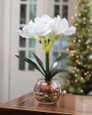 White Amaryllis Accent Silk Flower Holiday Design