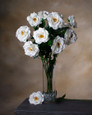 White Blown Open Rose Silk Flower Stem