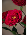 Red Blown Open Rose Silk Flower Stem