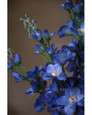 Blue Delphinium Silk Flower Stem