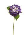 Purple Silk Hydrangea Flower Stem