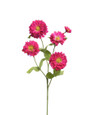 24" Zinnia Silk Flower Stem in Fuchsia.