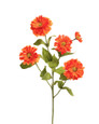 24" Zinnia Silk Flower Stem in Orange.