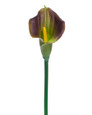 Eggplant Medium Silk Calla Lily Flower Stem