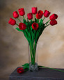 Red Silk Tulip Flower Stem