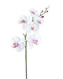 Cream/Purple Artificial Phalaenopsis Orchid Stem