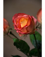 Salmon Peach Rose Bud Silk Flower Stem