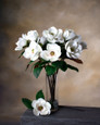 24" Medium Faux Magnolia Flower Stem