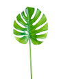 30.5" Large Monstera Leaf Artificial Foliage Stem