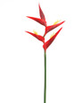 Red Faux Heliconia Flower Stem