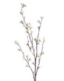 46" Silk Cherry Blossom Flower Stem in Cream.