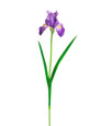 28" Faux Iris Flower Stem in Purple Yellow.