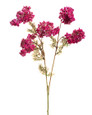 Cerise Lilac Silk Flower Stem