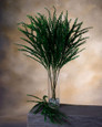 36" Wild Thyme Artificial Foliage Stem Spray