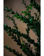 36" Wild Thyme Artificial Foliage Stem Spray