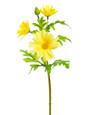 Yellow Daisy Silk Flower Stem Spray (x 3) with Bud