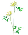 Yellow Queen Anne Lace Faux Flower Stem Spray