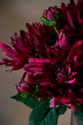 Red Dahlia Silk Flower Stem Spray