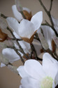 White Magnolia Silk Flower Stem Spray