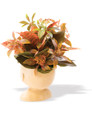 Beautiful Face Faux Foliage Planter, by Petals.