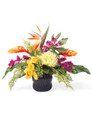 Tropical Escape mixed of foliage in a 5.5” black ceramic planter. Available at Petals.