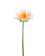Water Lily Faux Flower Stem - 17.5" - Pink