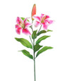 25" Tiger Lily Silk Flower Stem Spray Rubrum.