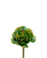 Faux Echeveria Pick Foliage Stem - 5.75" - Green Two-Toned