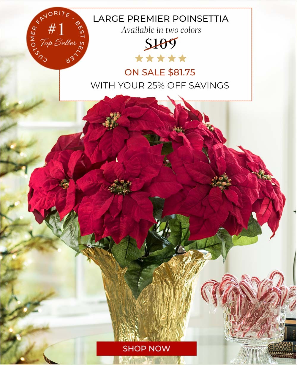 Large Premier Poinsettia Plant