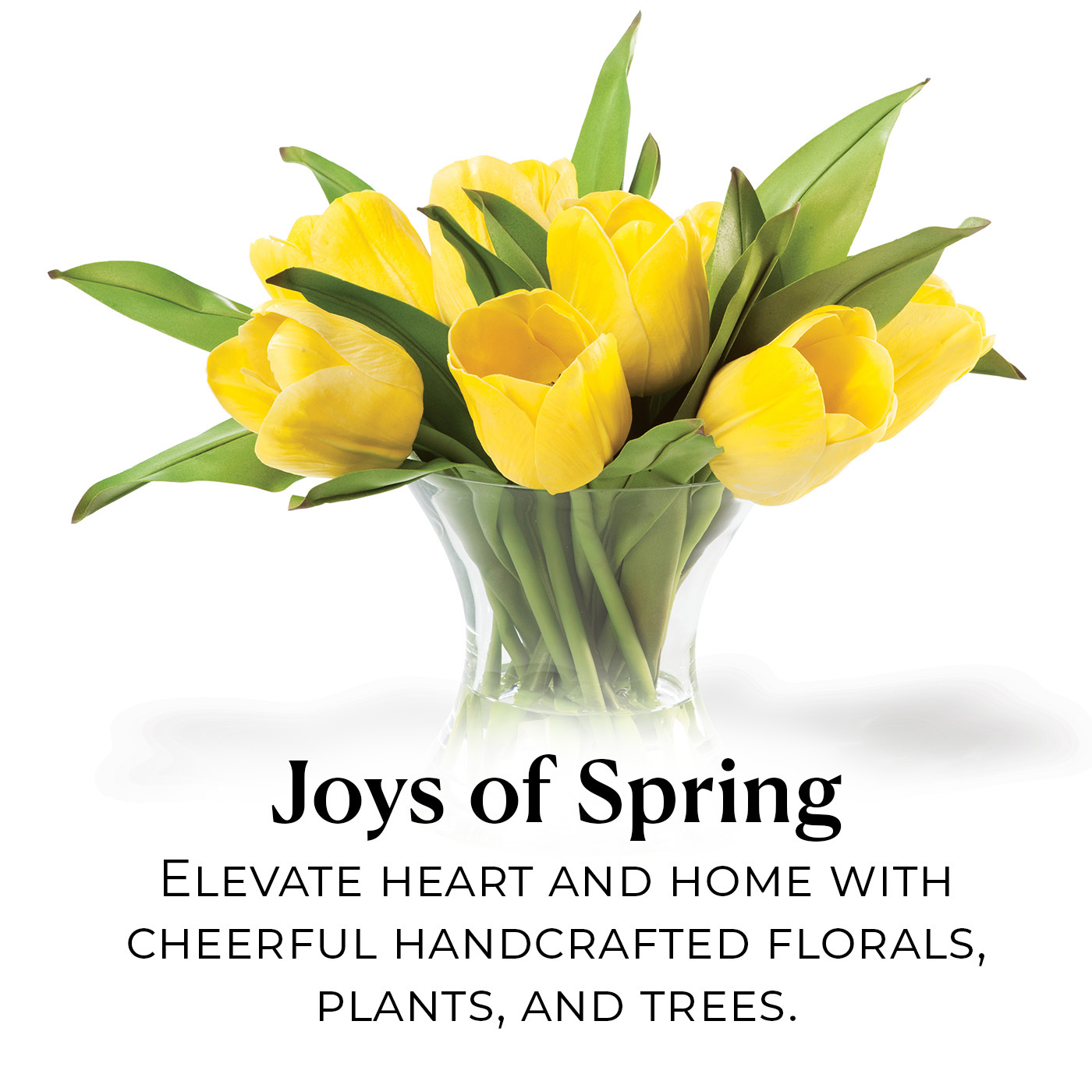 Spring Collection: Elevate heart and home with handcrafted Spring Florals, Plants, and trees, and shop our newest season designs. 