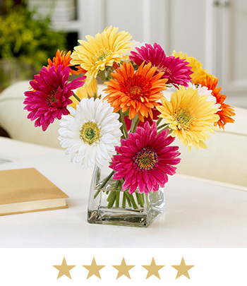 Best Selling Gerbera Daisy Faux Centerpiece, available at Petals.