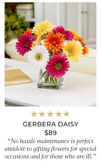 Gerbera Daisy Silk Centerpiece