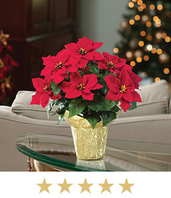 Desktop Silk Poinsettia Plant