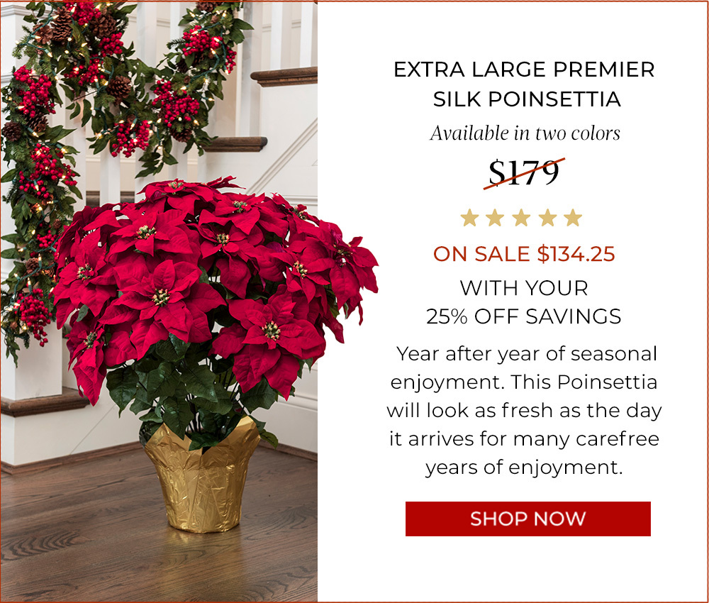 Large Premier Poinsettia Plant