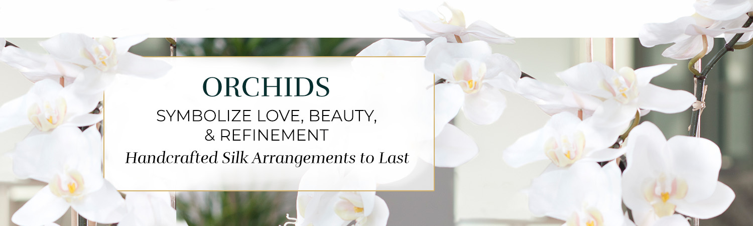 Shop Orchids