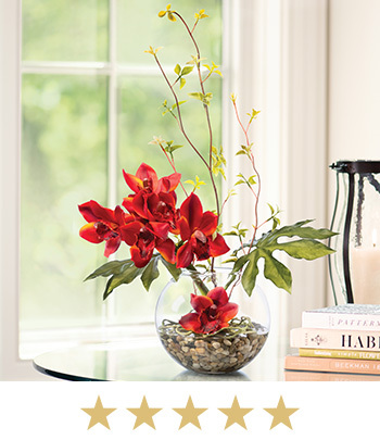 Cymbidium Orchid & Monstera Leaf