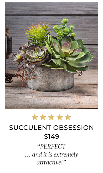 Succulent Obsession Artificial Foliage Planter - $149-PLD429-GB