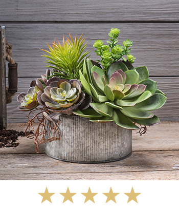 Succulent Obsession Artificial Foliage Planter