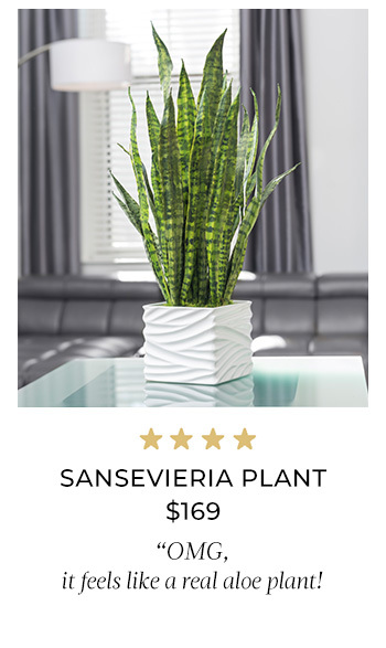 Sansevieria Planter Artificial Foliage Arrangement - $169 - PLD432-GR