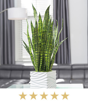 Sansevieria Planter Artificial Foliage Arrangement, available at Petals.