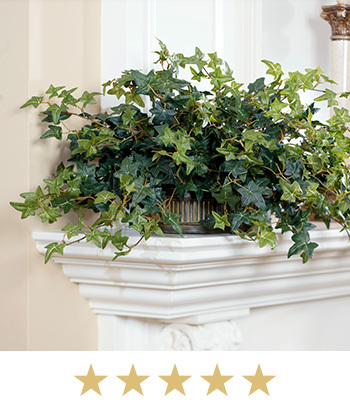 Silk English Ivy in Oval Planter, available at Petals.