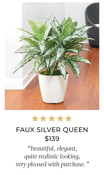Seeded Schefflera Faux Foliage Planter, Available at Petals.