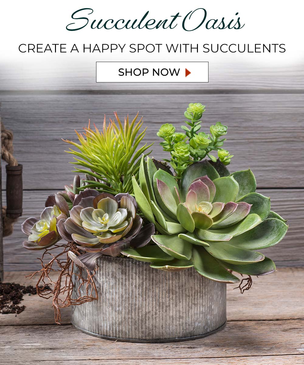 Succulent Oasis