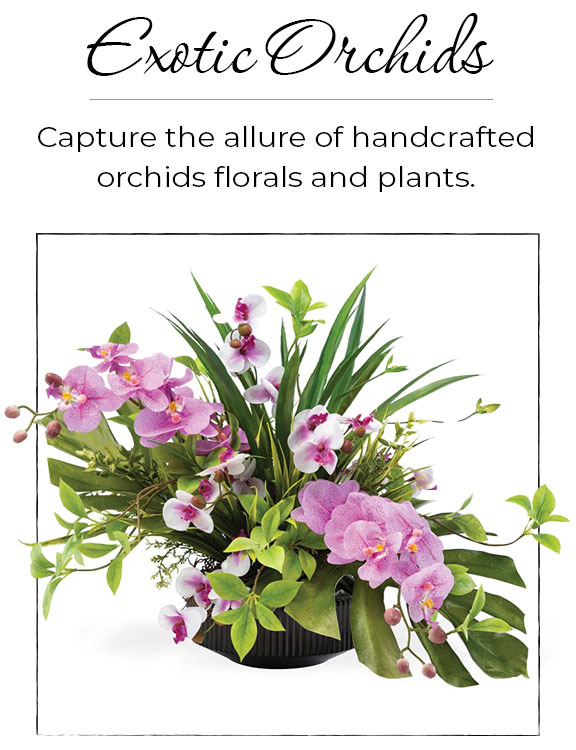 Exotic Orchids: Bring the awe-inspiring natural beauty of handcrafted orchid arrangements into your home.
