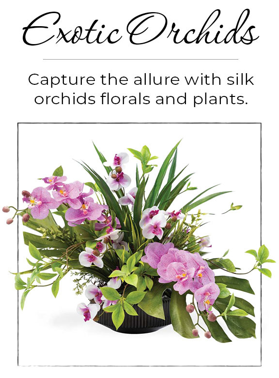Exotic Orchids: Bring the awe-inspiring natural beauty of handcrafted orchid arrangements into your home.