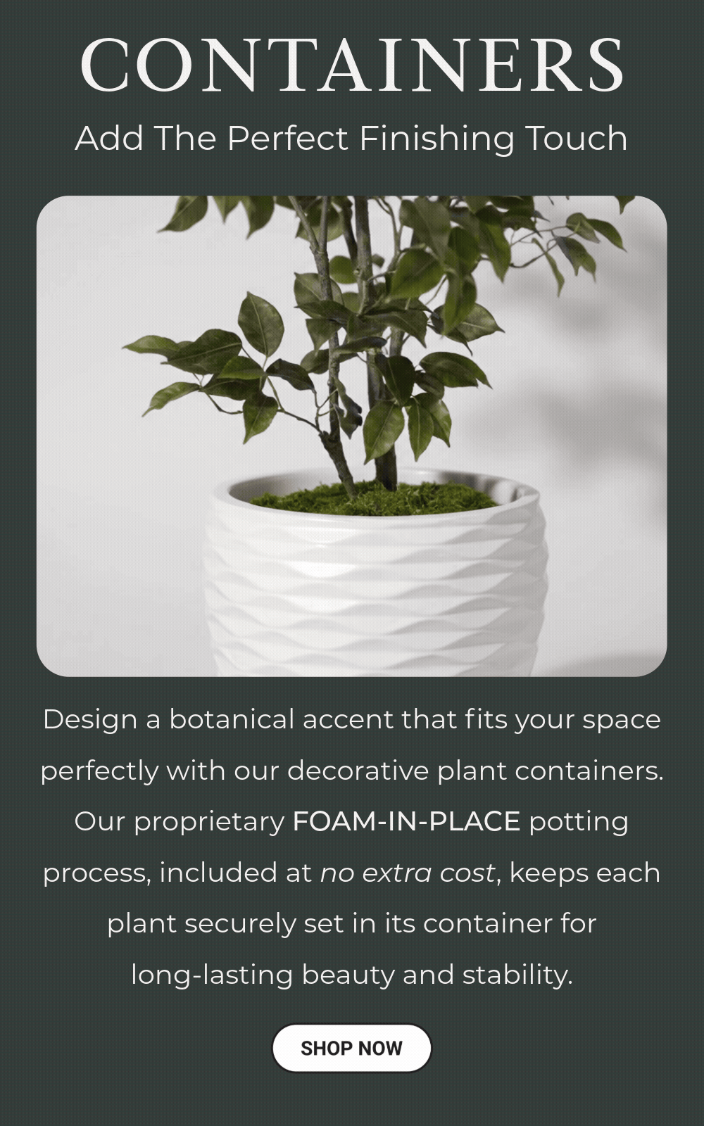 Foam-in-place-potting process with Petals containers. Customize your order enchance your interior decor.