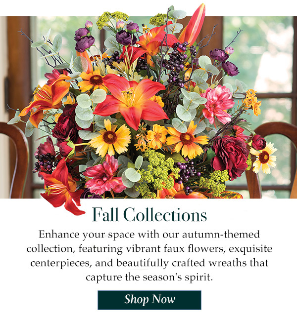 Fall Collections