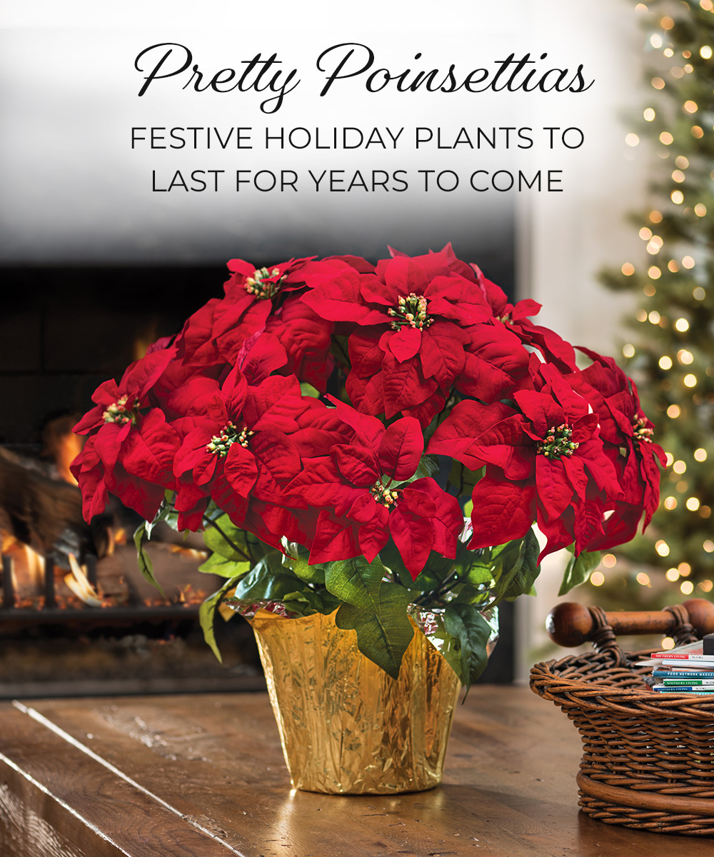 Petals Holiday Collections