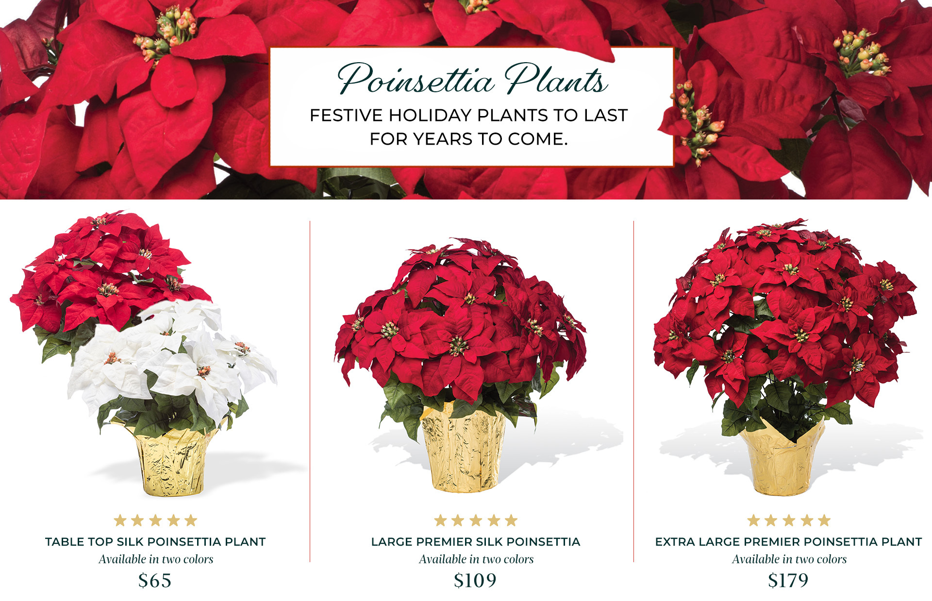 Petals Holiday Collections